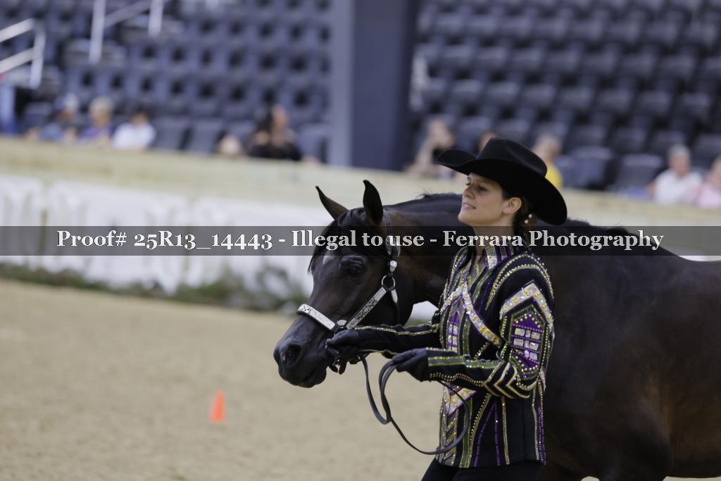 Proof 25R13_14443