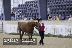 25R13_14445 proof