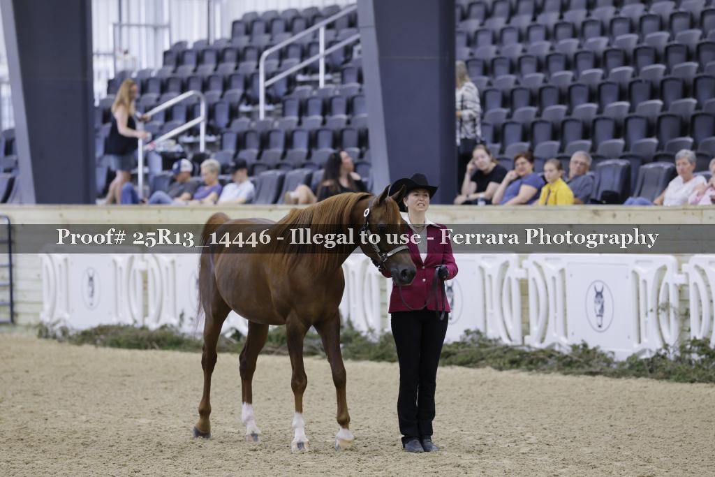 Proof 25R13_14446