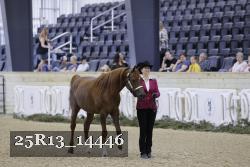 25R13_14446 proof