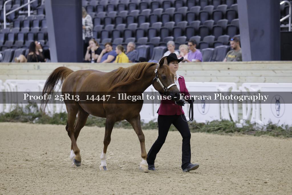 Proof 25R13_14447