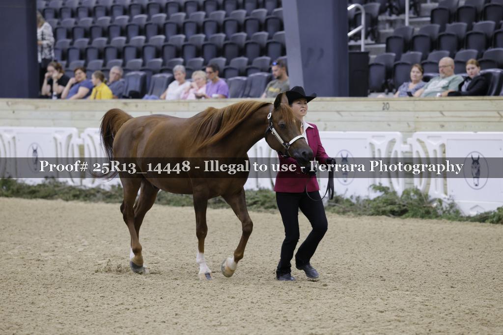 Proof 25R13_14448