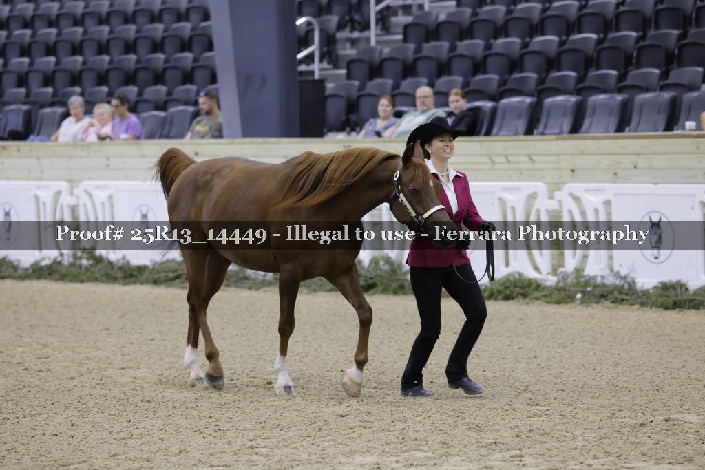 Proof 25R13_14449