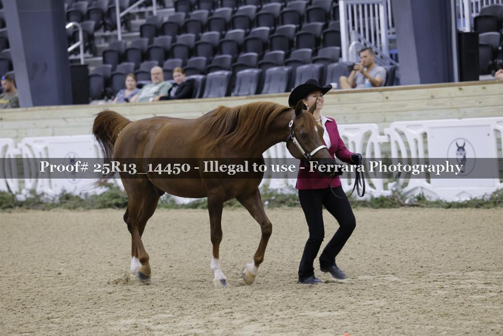 Proof 25R13_14450