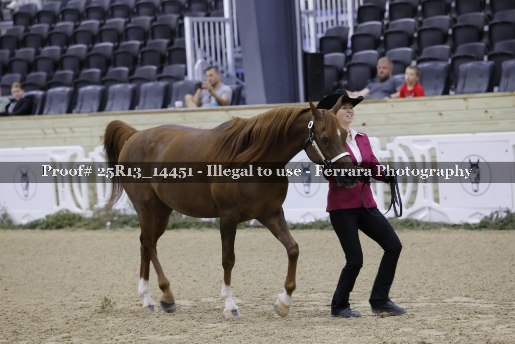 Proof 25R13_14451
