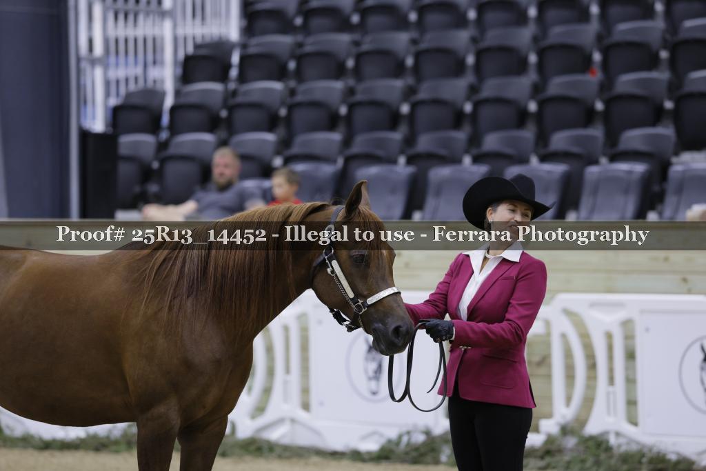 Proof 25R13_14452