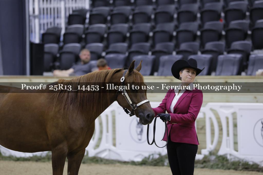 Proof 25R13_14453