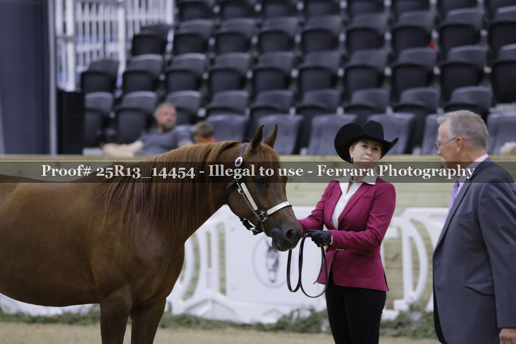 Proof 25R13_14454