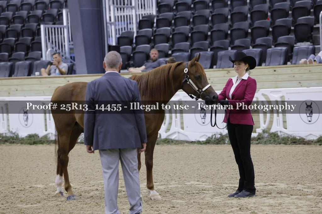 Proof 25R13_14455
