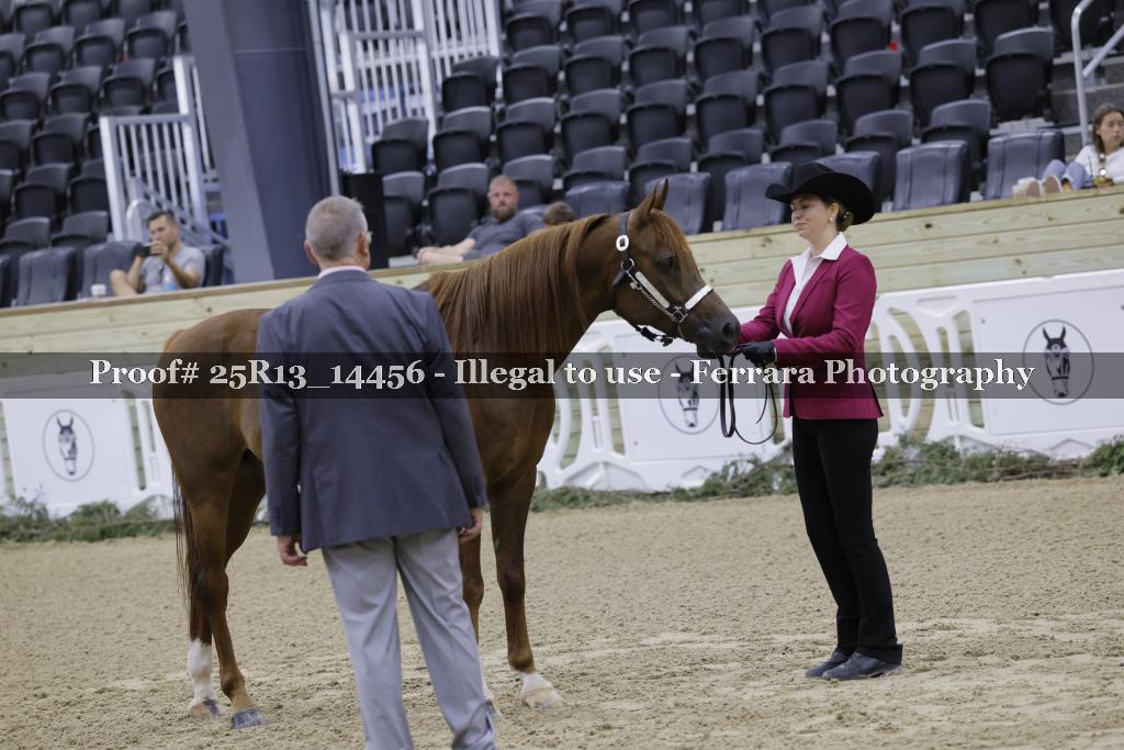 Proof 25R13_14456