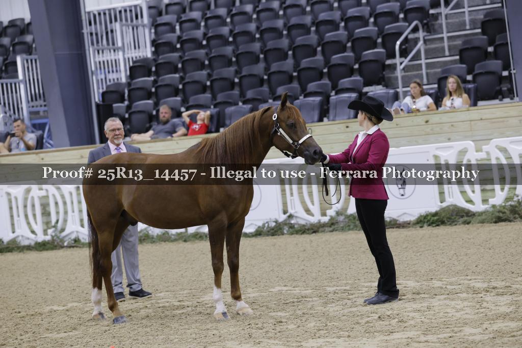 Proof 25R13_14457