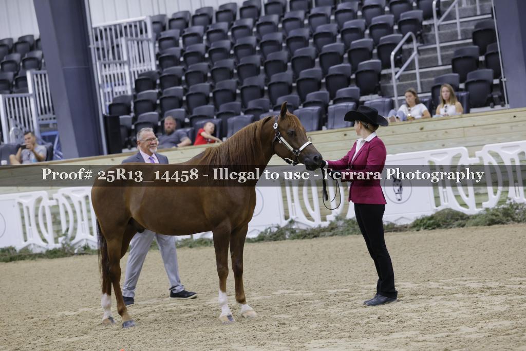 Proof 25R13_14458