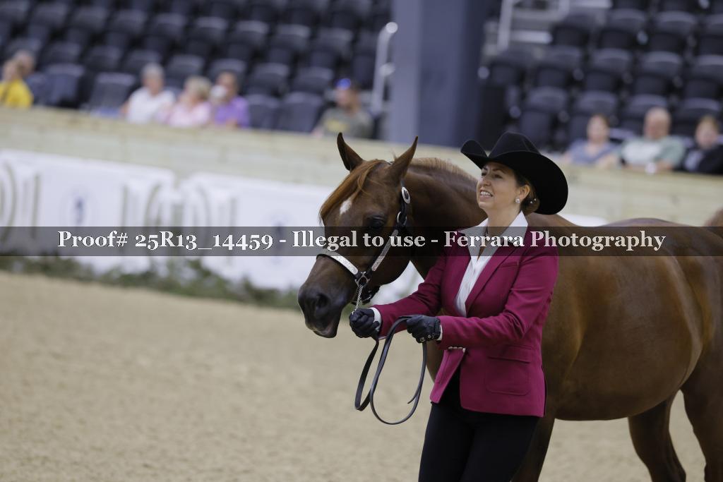 Proof 25R13_14459