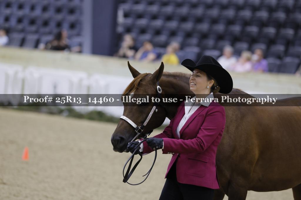 Proof 25R13_14460