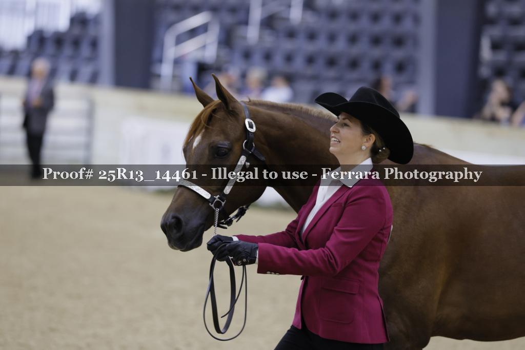 Proof 25R13_14461