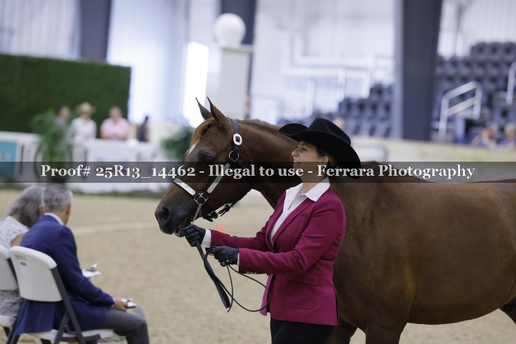 Proof 25R13_14462