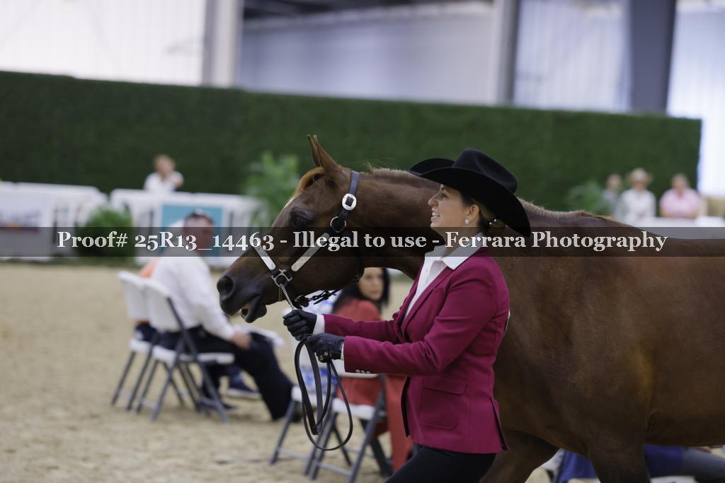 Proof 25R13_14463