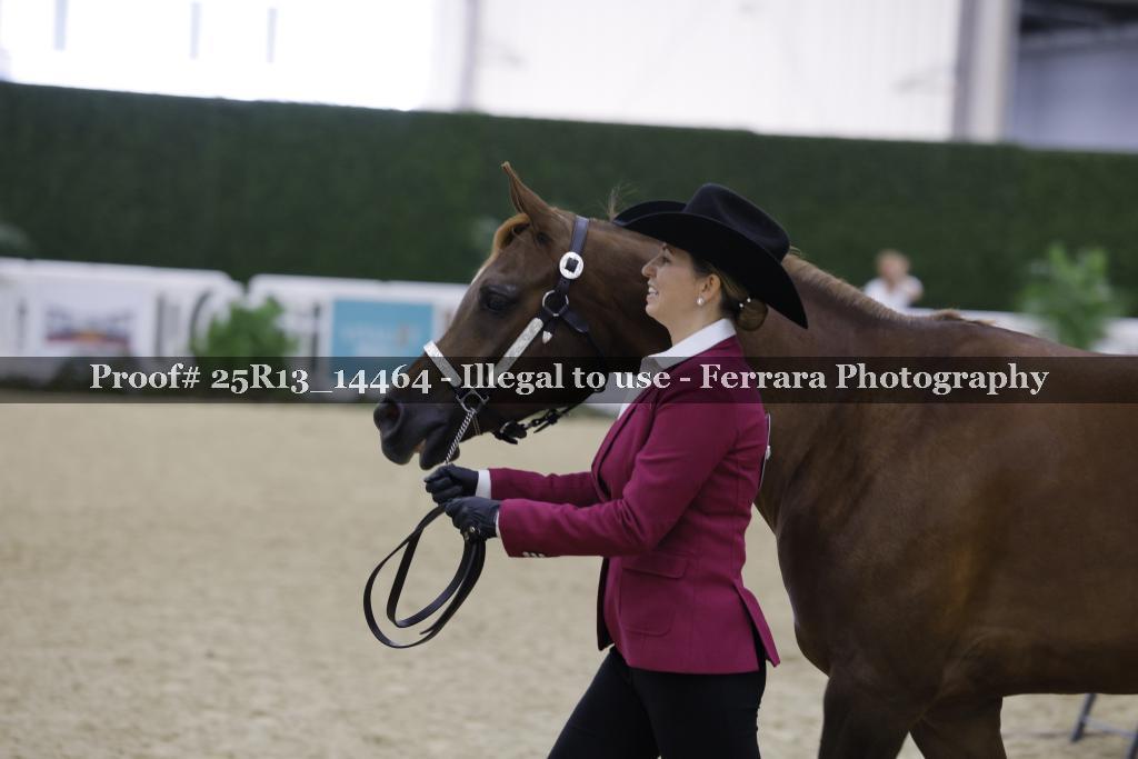Proof 25R13_14464
