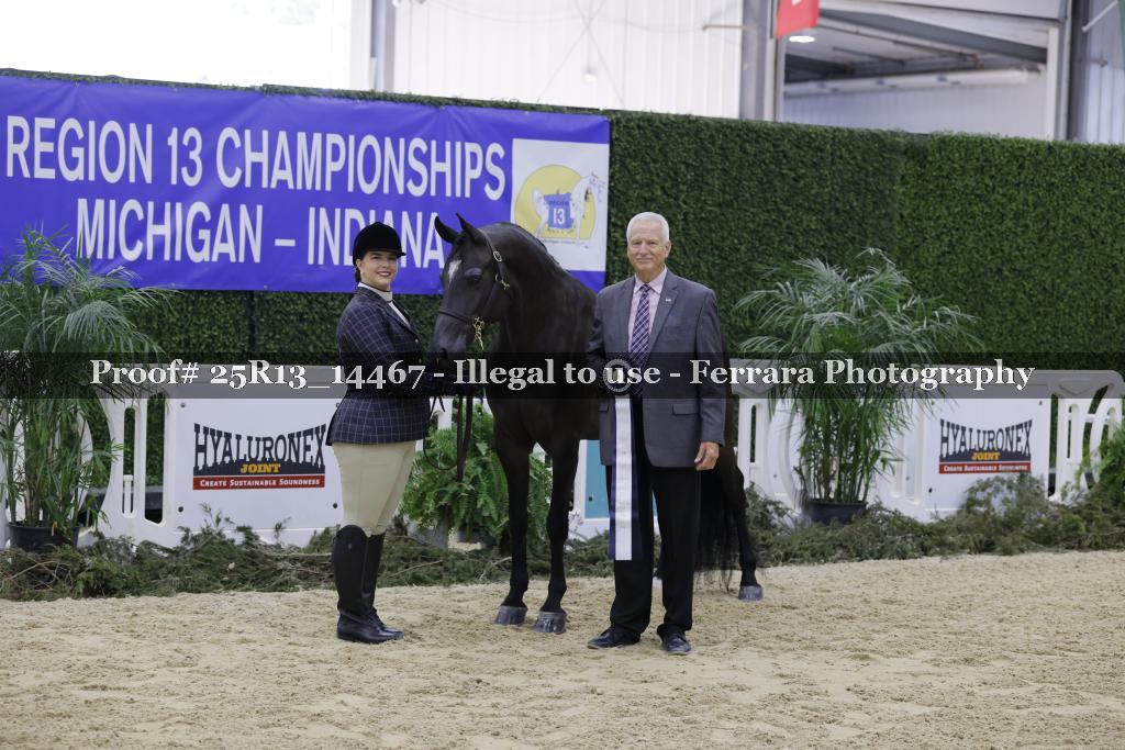 Proof 25R13_14467