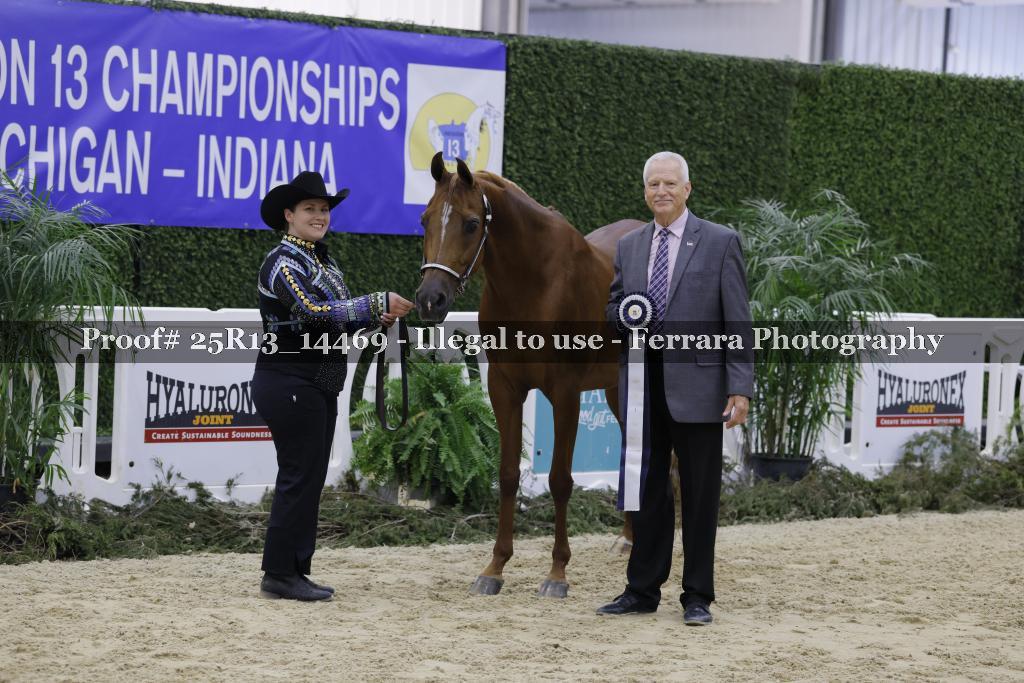 Proof 25R13_14469