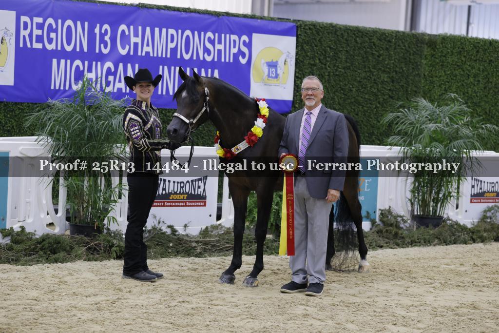 Proof 25R13_14484