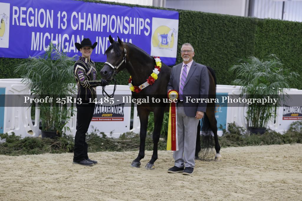 Proof 25R13_14485