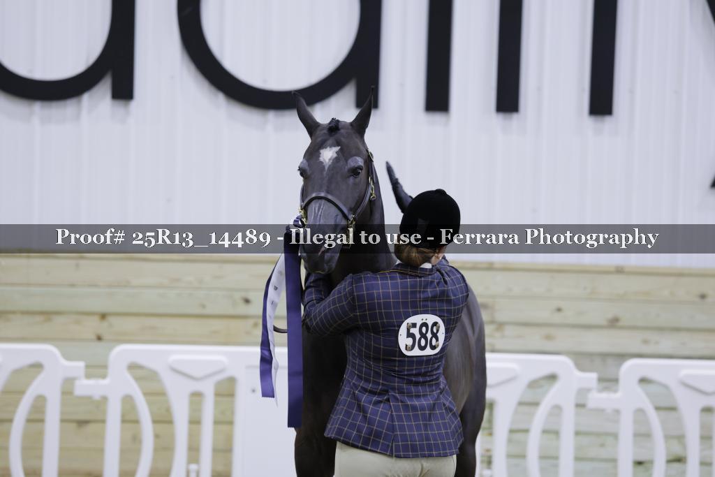 Proof 25R13_14489