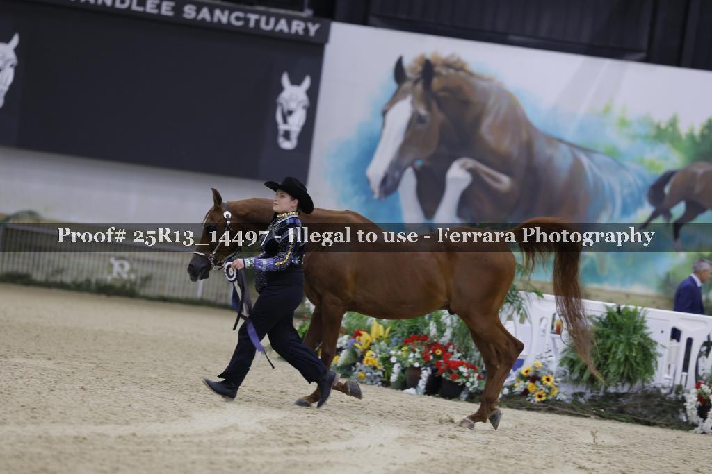 Proof 25R13_14497