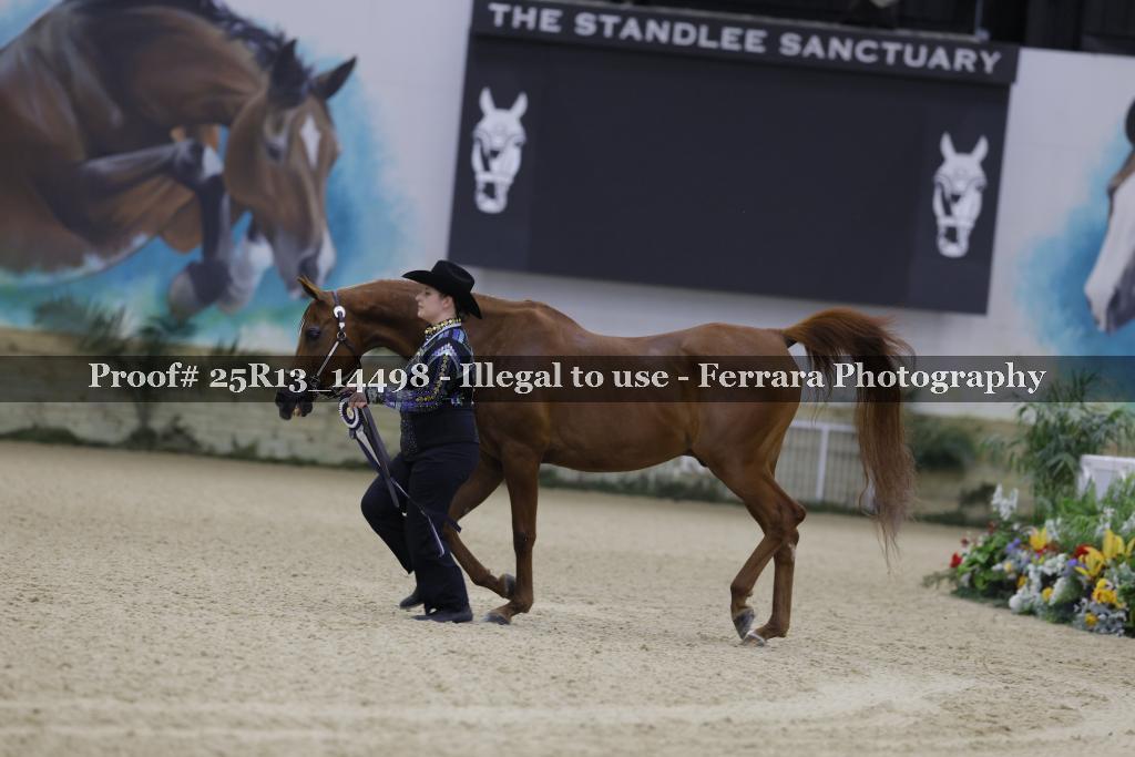 Proof 25R13_14498