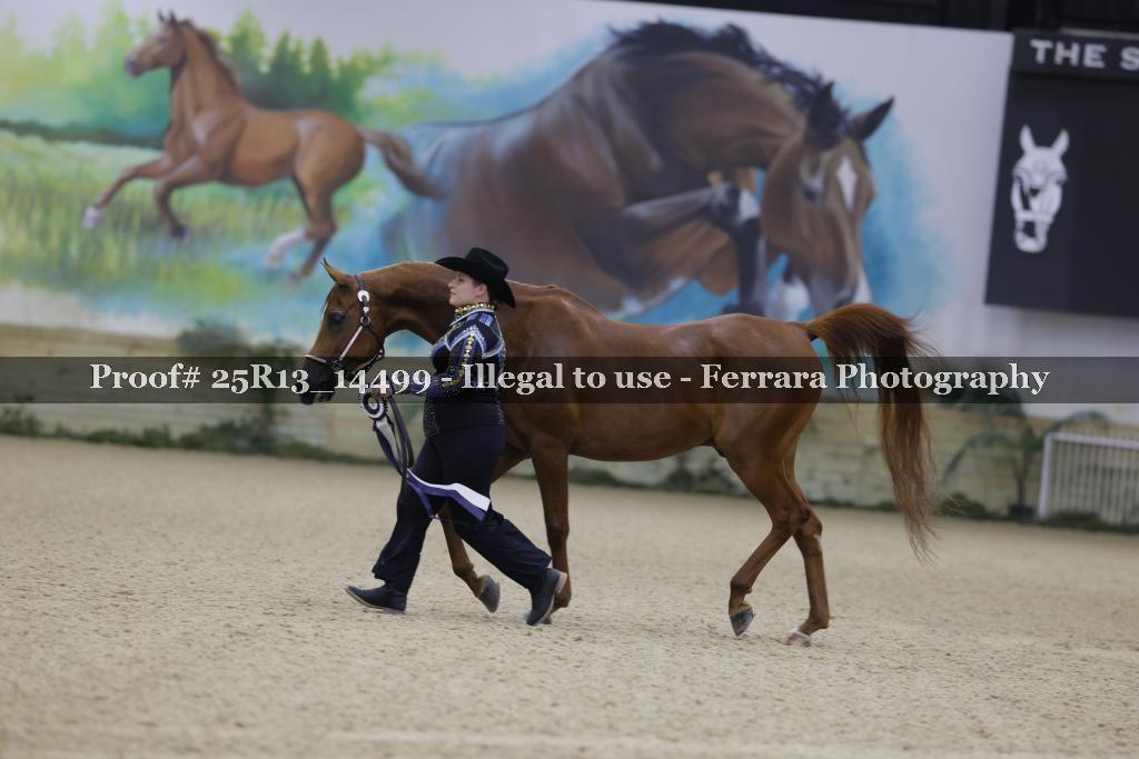 Proof 25R13_14499