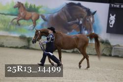 25R13_14499 proof