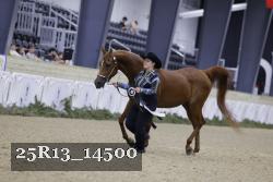 25R13_14500 proof