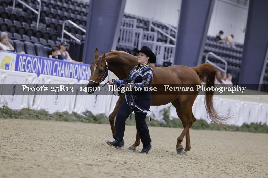 Proof 25R13_14501