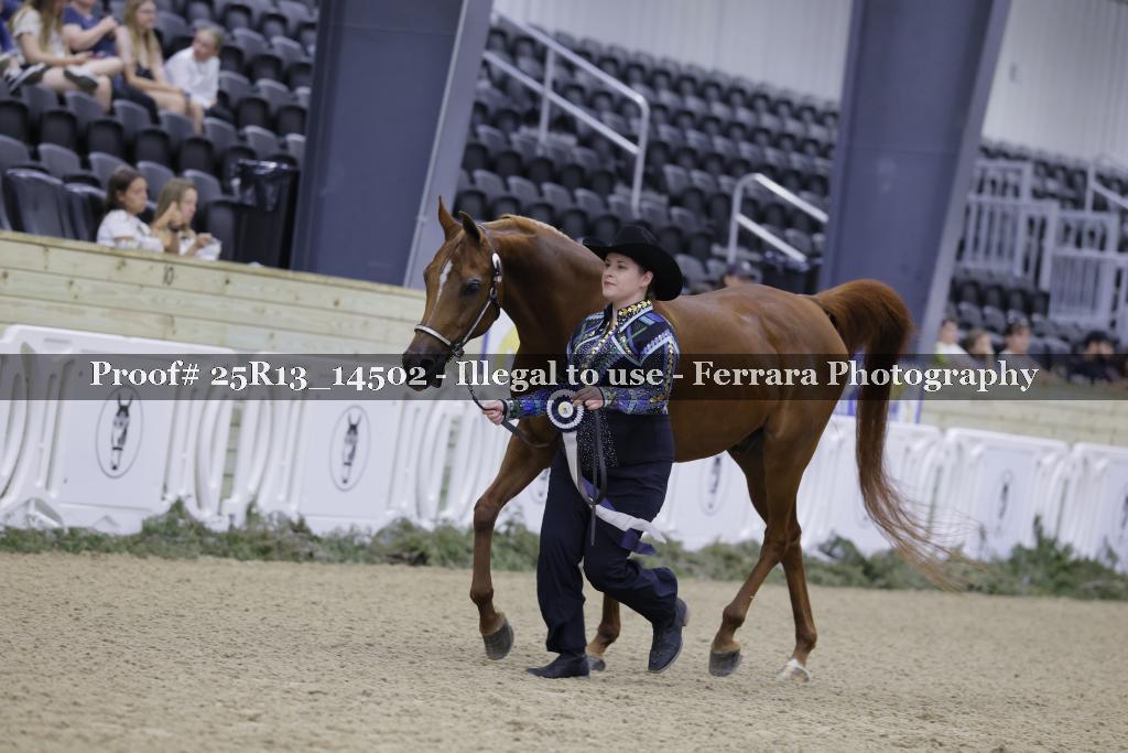 Proof 25R13_14502