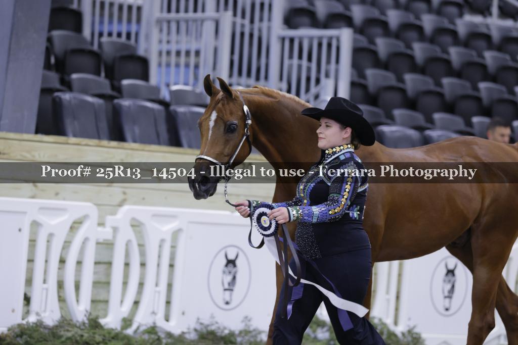 Proof 25R13_14504