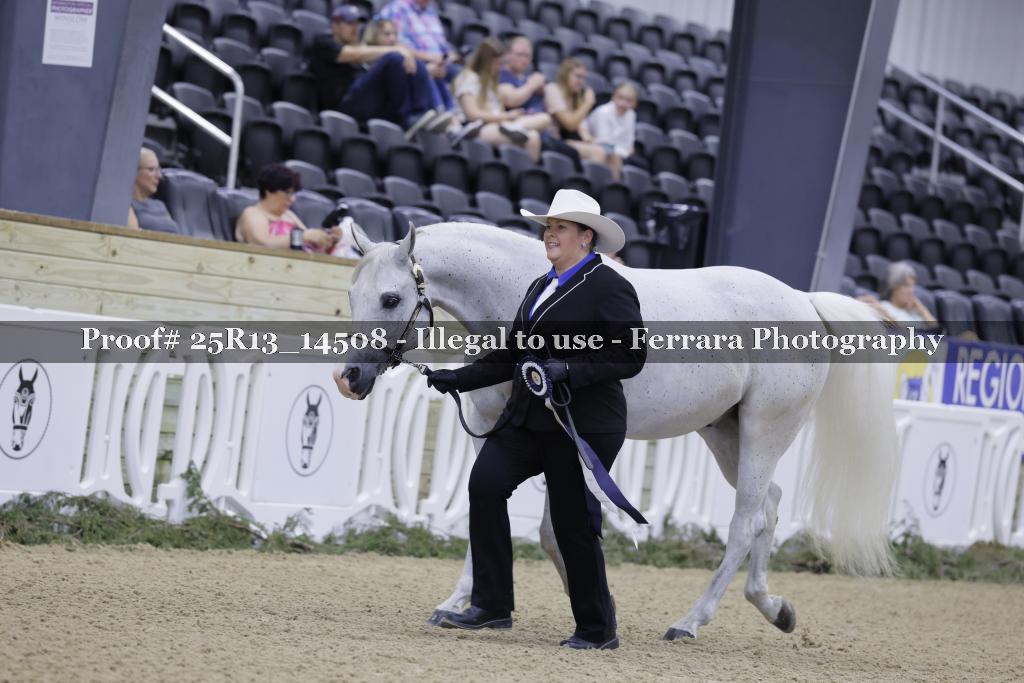 Proof 25R13_14508