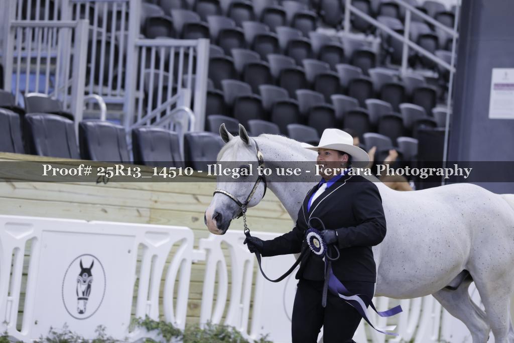 Proof 25R13_14510