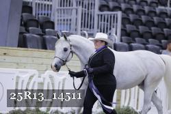 25R13_14511 proof