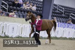 25R13_14513 proof