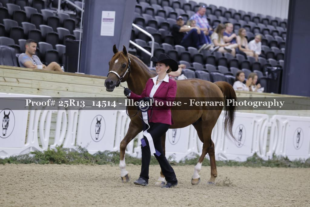 Proof 25R13_14514