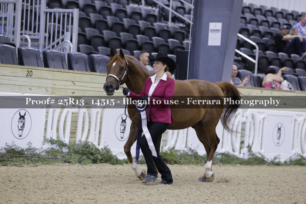 Proof 25R13_14515