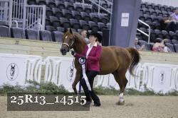 25R13_14515 proof