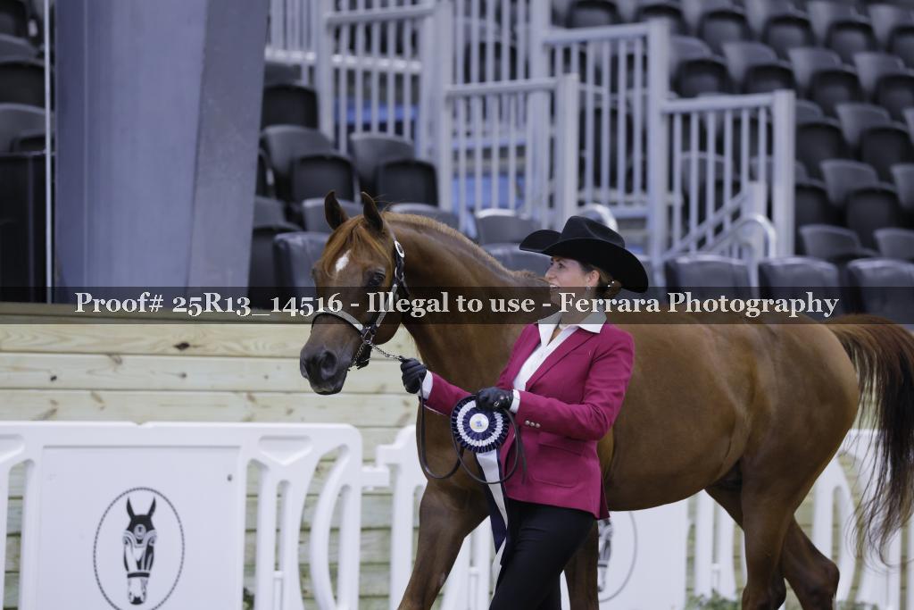 Proof 25R13_14516
