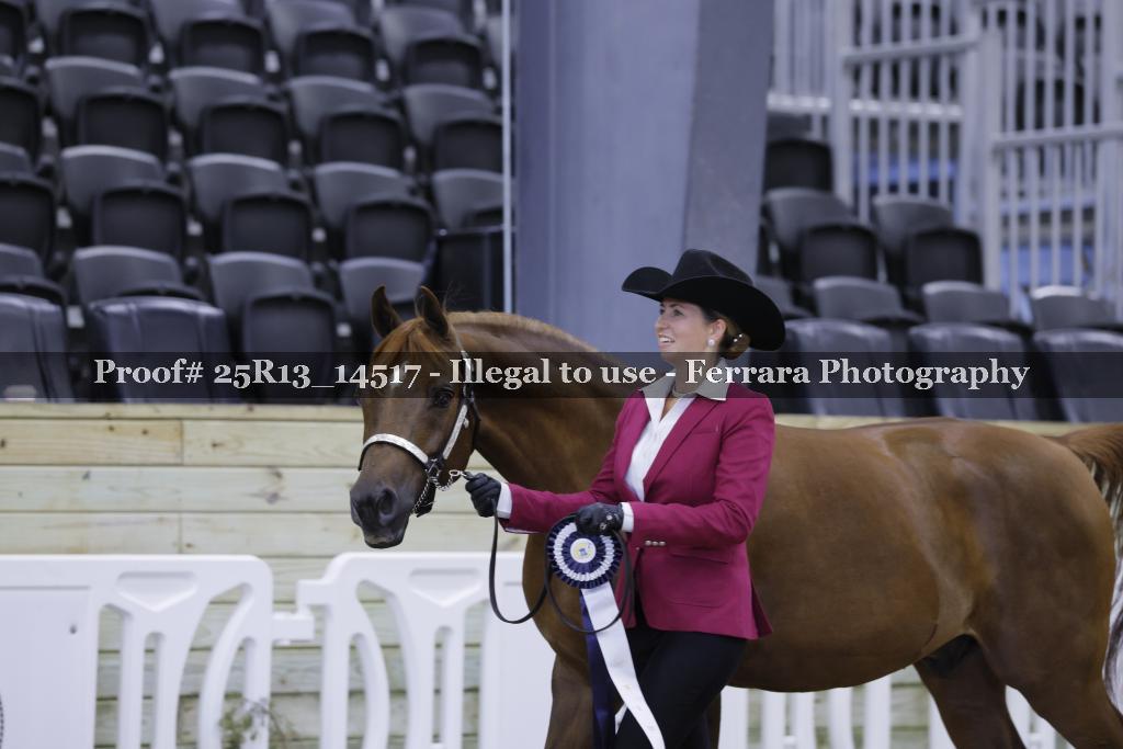 Proof 25R13_14517
