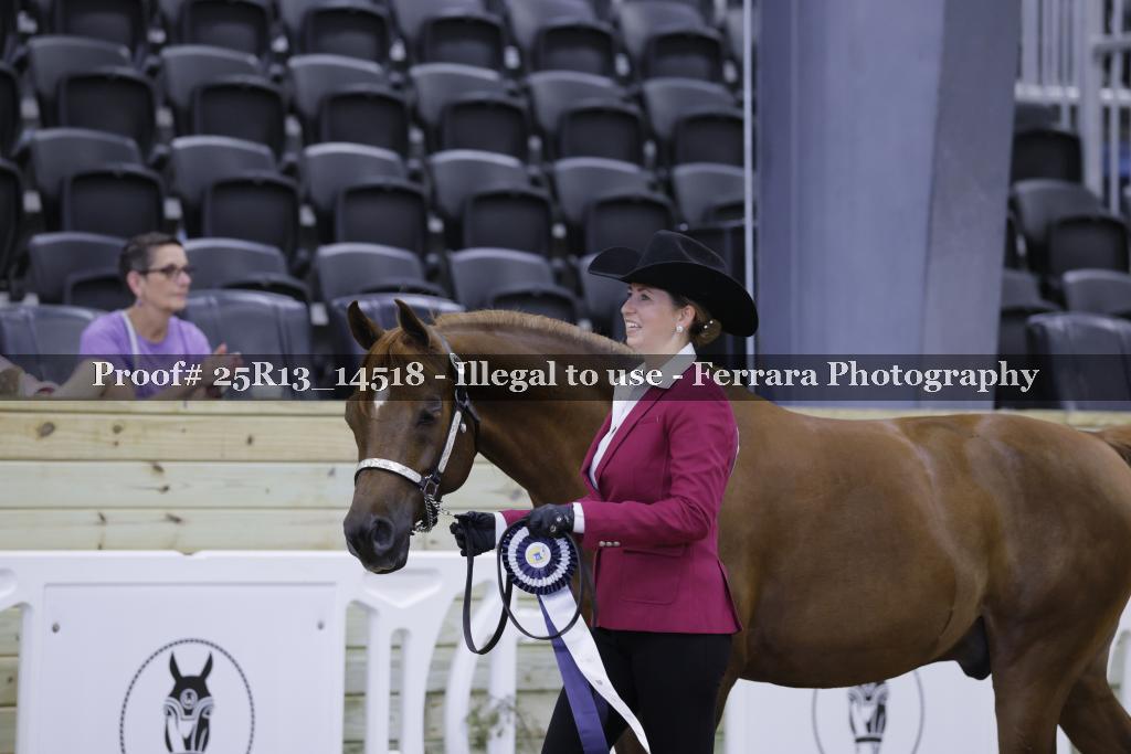 Proof 25R13_14518