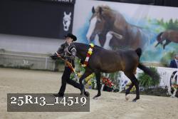 25R13_14519 proof