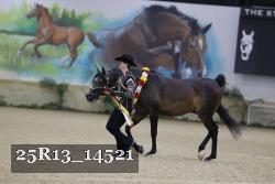 25R13_14521 proof