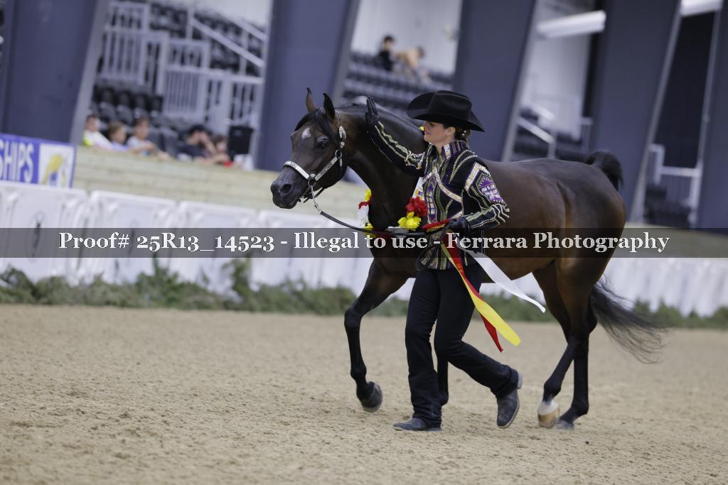 Proof 25R13_14523
