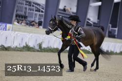 25R13_14523 proof