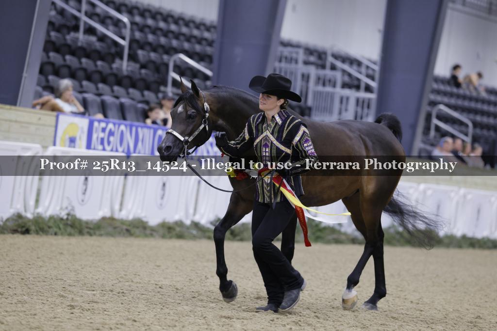 Proof 25R13_14524